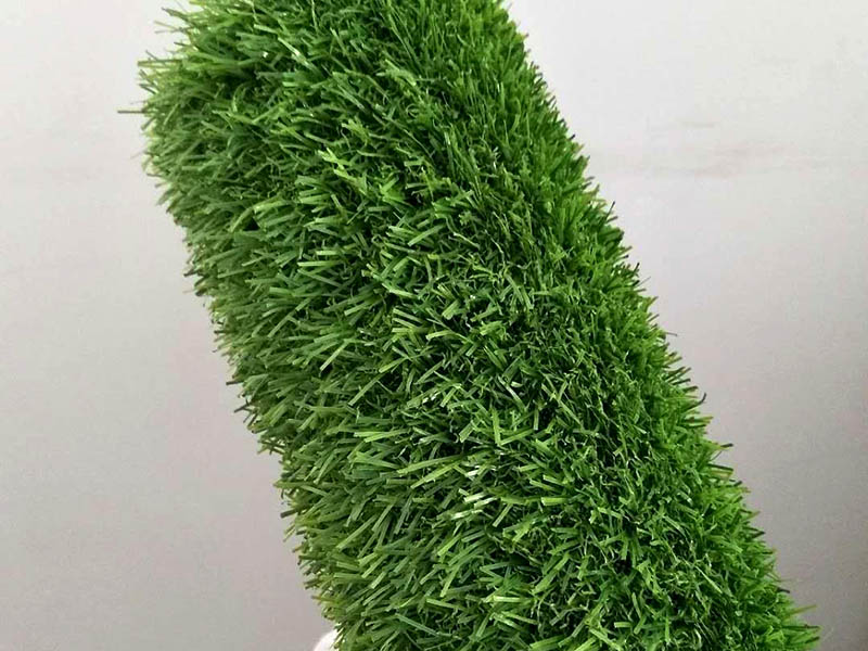 1636624803897598.jpg 250.jpg