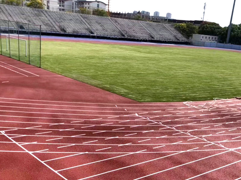 1636709578810754.jpg 46.jpg