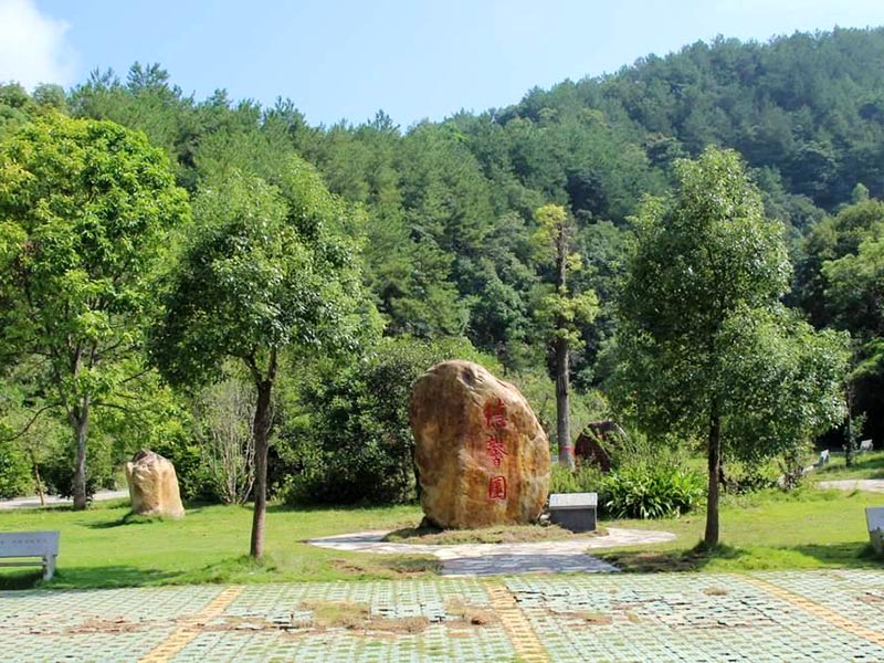 1641974305931652.jpg 7.jpg